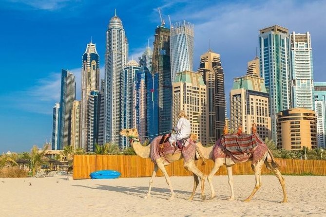 Discover the City: Comprehensive Dubai City Tours